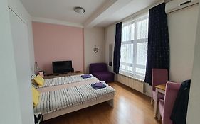 Studio Apartman Ld U Strogom Centru