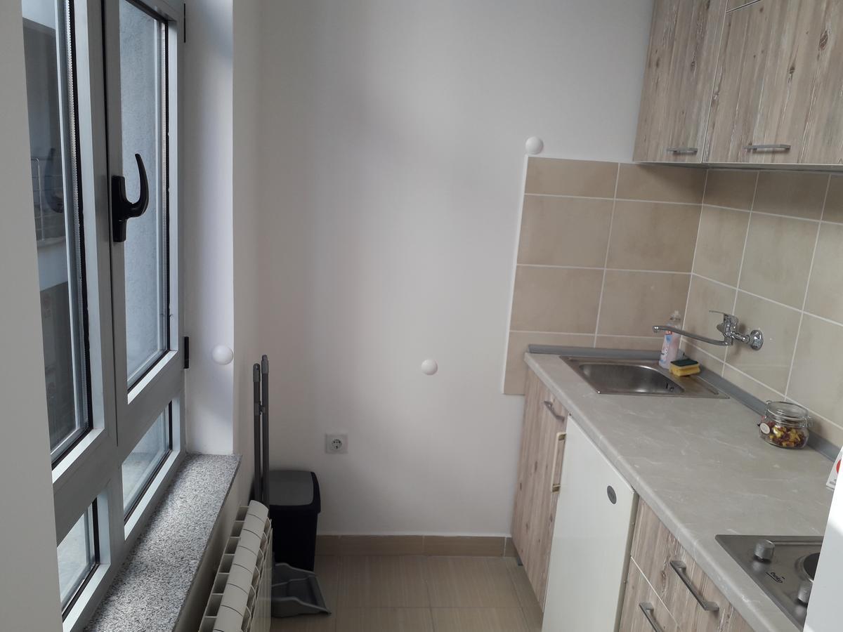 Studio Apartman Ld U Strogom Centru Нови-Сад Экстерьер фото